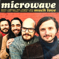 Microwave - Much Love vinyl cover
