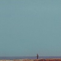 Mid-Air Thief - Crumbling vinyl cover
