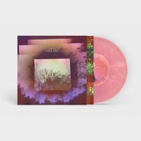 Midlake - A Bridge To Far vinyl cover