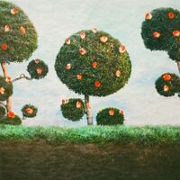 Midnight Sister - Painting The Roses vinyl cover