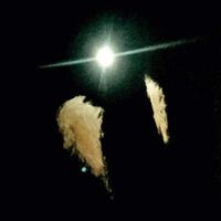 Midwife - Forever vinyl cover