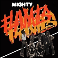 Mighty Flames - Metalik Funk Band vinyl cover