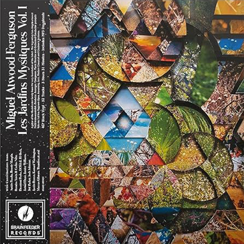 Miguel Atwood-Ferguson - Les Jardins Mystiques Vol.1 vinyl cover