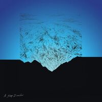 Miguel Mendez - A Sleep Disaster vinyl cover