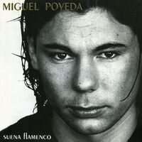 Miguel Poveda - Suena Flamenco vinyl cover