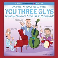 Mike Jones - Are You Sure You Three Guys Know What You're Doing? vinyl cover