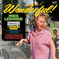 Mike Ledonne - Wonderful  vinyl cover