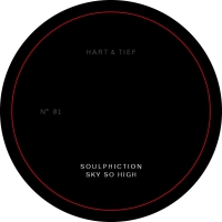 Mike Soulphiction / Dehnert - Sky So High vinyl cover