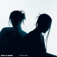 Milk & Bone - Chrysalism vinyl cover
