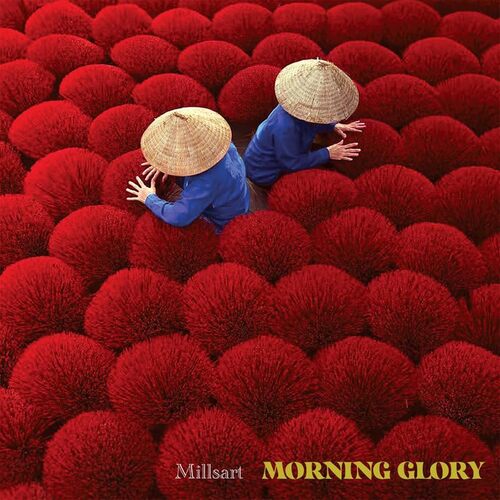 Millsart - Morning Glory vinyl cover