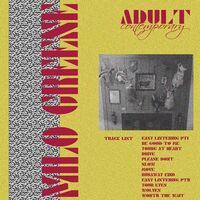 Milo Greene - Adult Contemporary vinyl cover