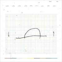 Minami Honobe - Troche vinyl cover