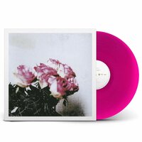 Minuano - Love Logic vinyl cover