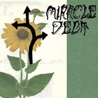 Miracle Debt - Under the Shadow vinyl cover