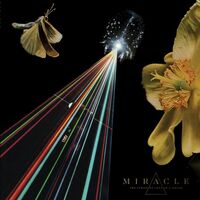 Miracle - The Strife Of Love In A Dream vinyl cover