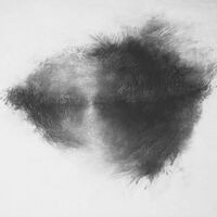 Mirah - Advisory Committee vinyl cover