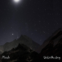 Mirah - Understanding vinyl cover