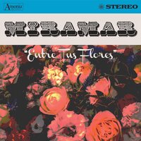 Miramar - Entre Tus Flores vinyl cover