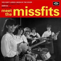 Missfits - Meet The Missfits vinyl cover