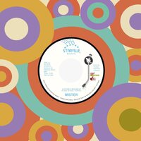 Mister - Lover's Holiday / I Wanna Thank You vinyl cover