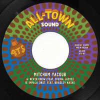 Mitchum Yacoub - Never Knew vinyl cover