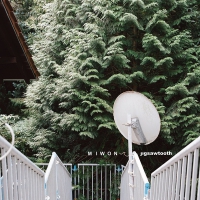 Miwon - Jigsawtooth vinyl cover