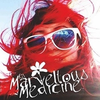 Mk's Marvellous Medicine - Mk's Marvellous Medicine vinyl cover