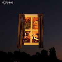 Moaning - Moaning vinyl cover