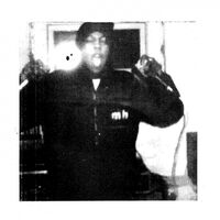 Model Home - One Year vinyl cover