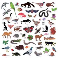 Modern Nature - Island Of Noise vinyl cover