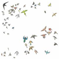 Modern Nature - No Fixed Point In Space vinyl cover
