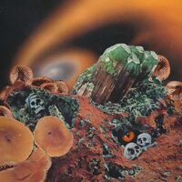 Modulator II - Slivered Hearse vinyl cover