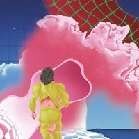 Modus Pitch - Re:Polyism vinyl cover