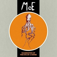 Moe. - Examination Of The Eye Of A Horse vinyl cover