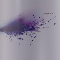 Mojave 3 - Ask Me Tomorrow vinyl cover
