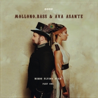 Mollono.bass & Ava Asante - Birds Flying High - Part One vinyl cover