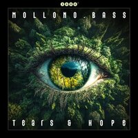 Mollono Bass - Tears And Hope vinyl cover