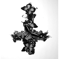 Monarch - Never Forever vinyl cover