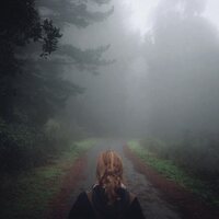 Mono (Japan) - Under the Pipal Tree (25th Anniversary) vinyl cover