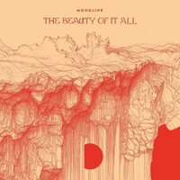 Monolink - The Beauty Of It All vinyl cover