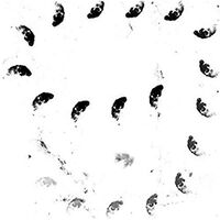 Monolithe Noir - Moira vinyl cover