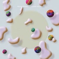 Moon Bounce - Clean House vinyl cover