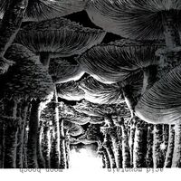 Moon Hooch - Acid Mountain vinyl cover