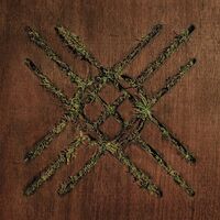 Moon Tooth - Violent Grief: Acoustic Selections vinyl cover