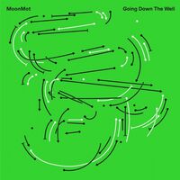 Moonmot - Going Down The Well vinyl cover