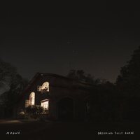 Moons - Dreaming Fully Awake vinyl cover