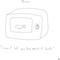 Moow - I Can't Tell You How Much It Hurts vinyl cover