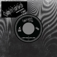 Mophono - Lump Sum Slum Lord vinyl cover