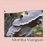 Morita Vargas - 8 vinyl cover