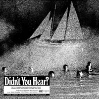 Mort Garson - Didn't You Hear? vinyl cover